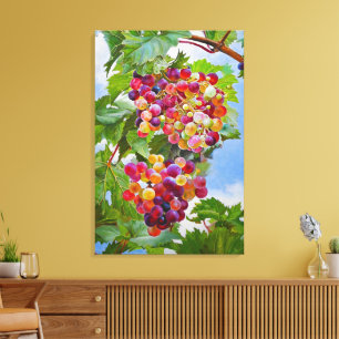 Sunny Grapevine – Colourful Grapes Still Life Pain Canvas Print