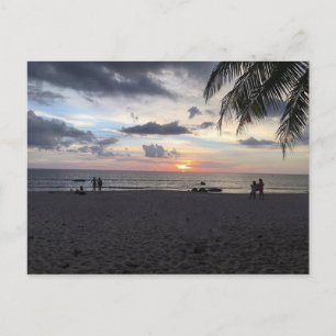 Sunny Holiday Greetings Postcard