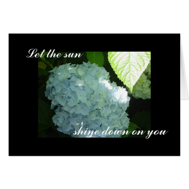 Sunny Hydrangeas Blank (Front Horizontal)