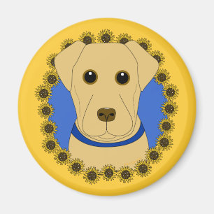 Sunny Magnet