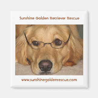 Sunny Magnet - Sunshine Golden Retriever Secourt..