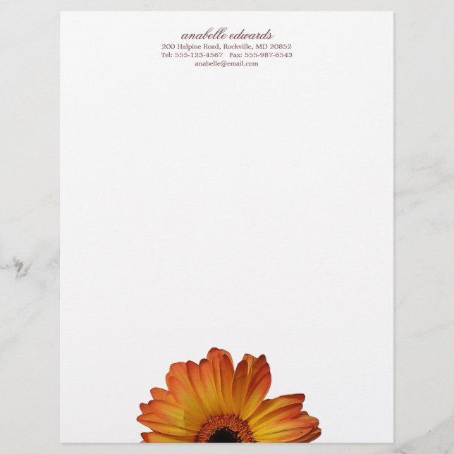 Sunny Orange gerbera daisy flower bloom personal Letterhead (Front)