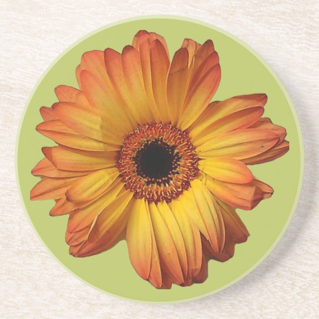 Sunny Orange gerbera flower bloom Coaster (Front)
