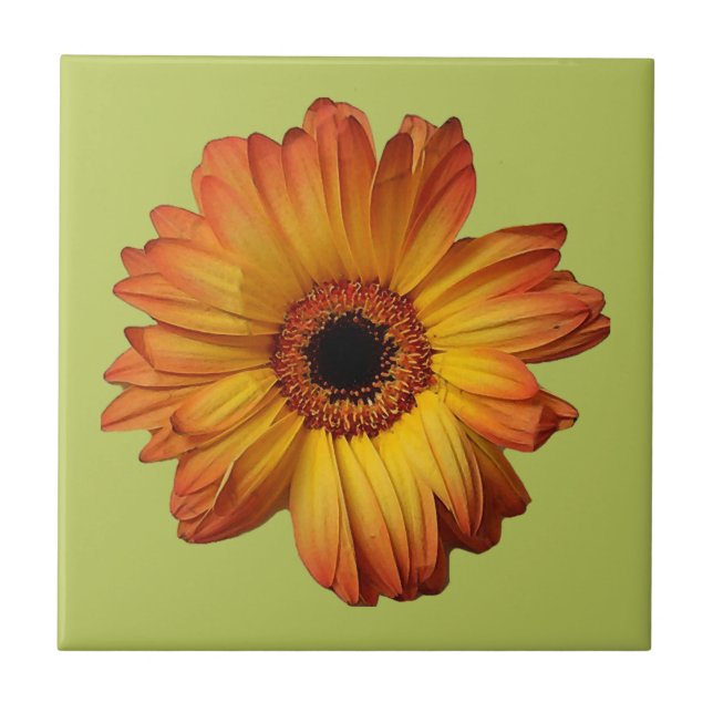 Sunny Orange gerbera flower bloom Tile (Front)