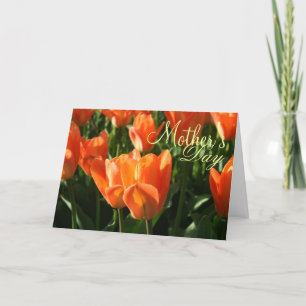 Sunny Orange Tulips Mother's Day Greeting Card