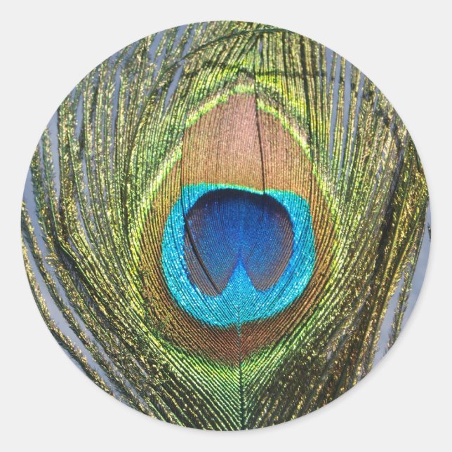 Sunny Peacock Feather Classic Round Sticker (Front)