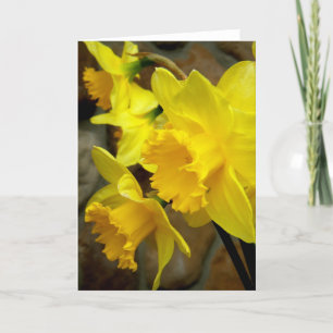 Sunny Petals Card