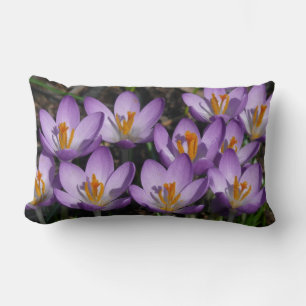 Sunny Purple Crocuses Lumbar Pillow