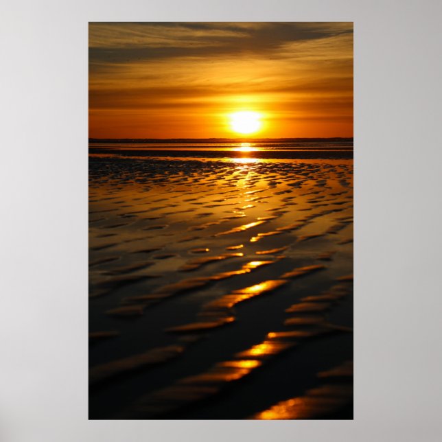 Sunny San Diego Poster (Front)