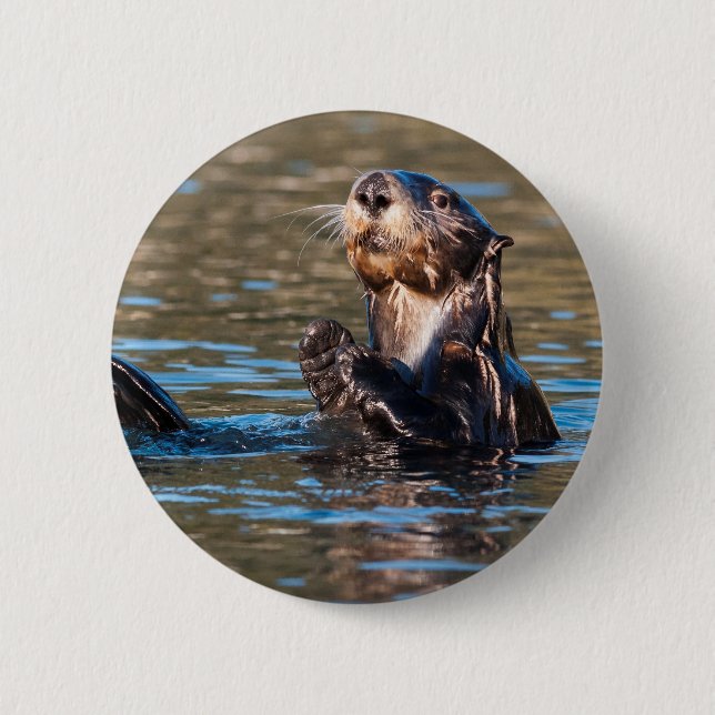 Sunny Sea Otter 2 Inch Round Button (Front)
