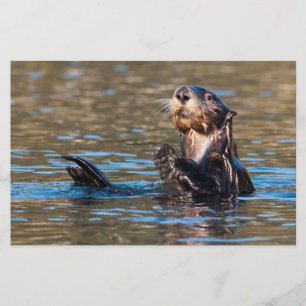 Sunny Sea Otter Stationery
