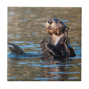 Sunny Sea Otter Tile