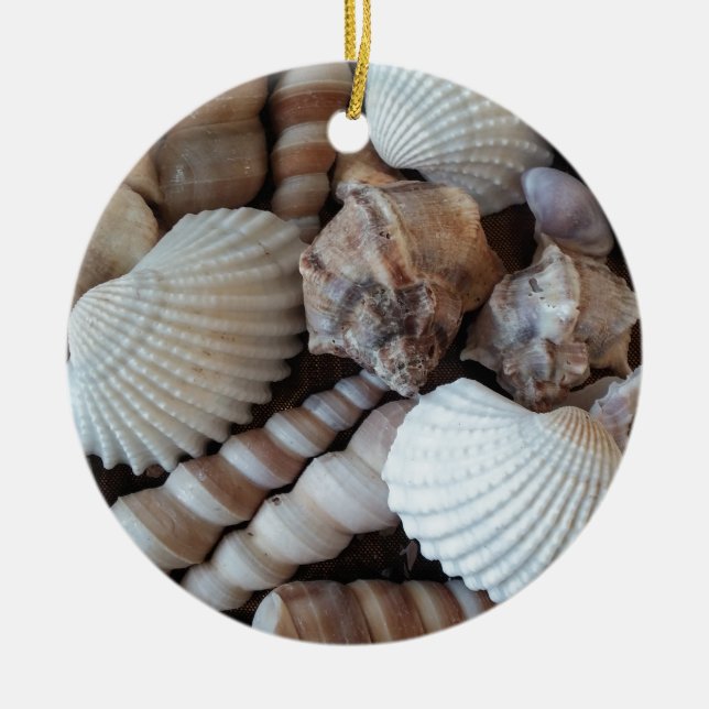 Sunny Seashells Collection Nature Summer Ceramic Ornament (Front)