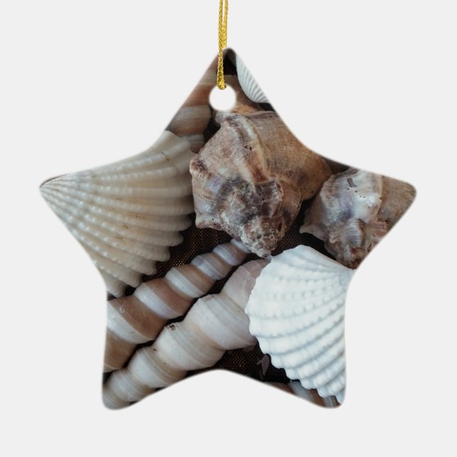 Sunny Seashells Collection Nature Summer Ceramic Ornament (Front)