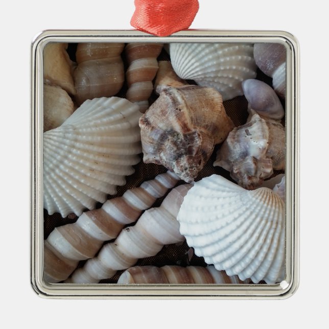 Sunny Seashells Collection Nature Summer Metal Ornament (Front)
