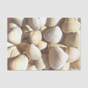 Sunny Seashells Collection, Summer Beach, Tissue Tissue Paper