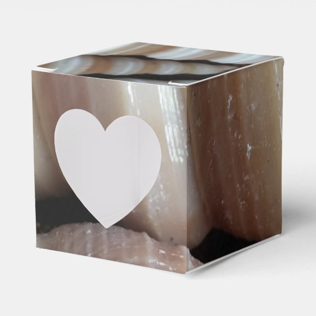 Sunny Seashells Favour Box, Summer Beach Wedding Favor Box (Front Side)