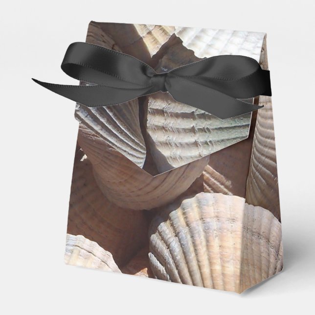 Sunny Seashells Favour Box, Summer Beach Wedding Favor Box (Front Side)