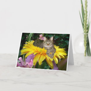 Sunny Side of the Street Card