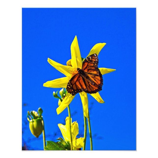 Sunny Side Up Photo Print (Front)