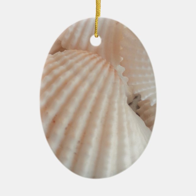 Sunny Summer Seashells. Romantic, Exotic Tropical Ceramic Ornament (Front)