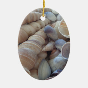 Sunny Summer Seashells. Romantic, Exotic Tropical Ceramic Ornament