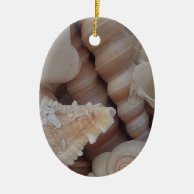 Sunny Summer Seashells, Sea Shell Beach Love Ceramic Ornament (Front)