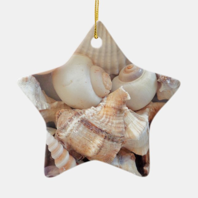 Sunny Summer Seashells, Sea Shells Beach Love Ceramic Ornament (Front)
