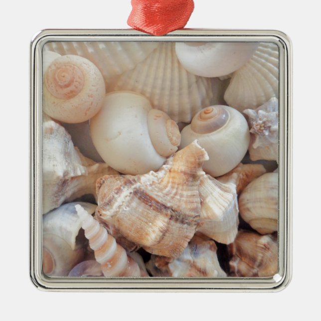 Sunny Summer Seashells, Sea Shells Beach Love Metal Ornament (Front)