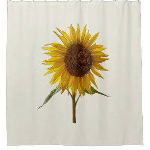 Sunny Sunflower