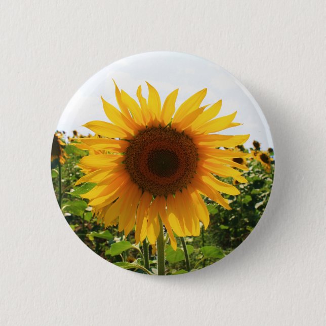 Sunny Sunflower 2 Inch Round Button (Front)