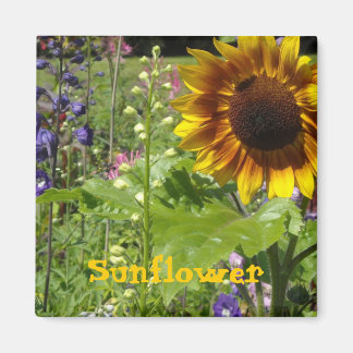 Sunny Sunflower Magnet