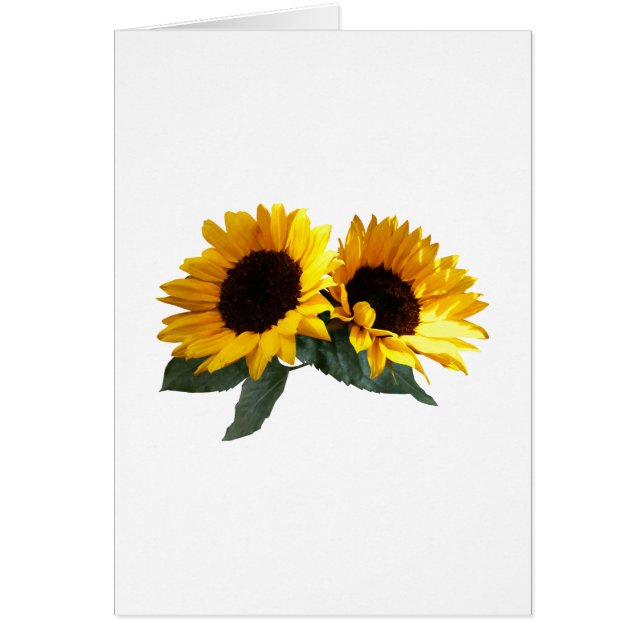 Sunny Sunflowers (Front)
