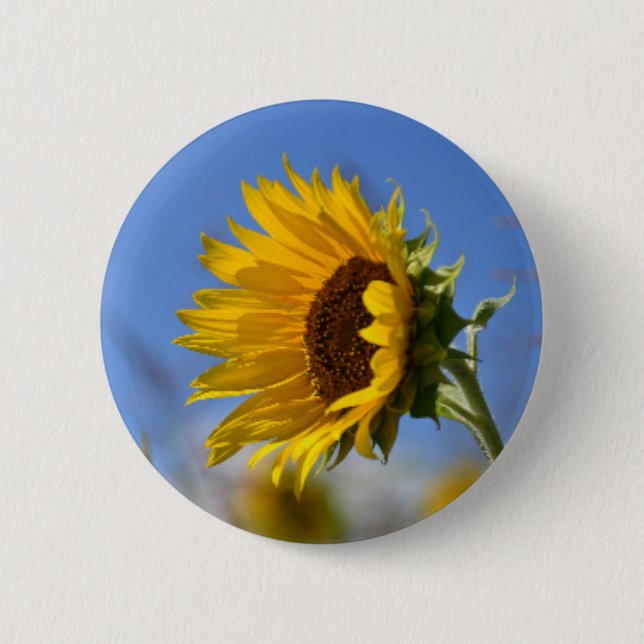 Sunny Sunflowers 2 Inch Round Button (Front)