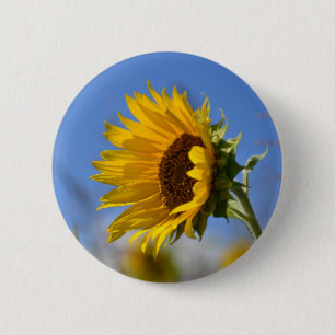 Sunny Sunflowers 2 Inch Round Button