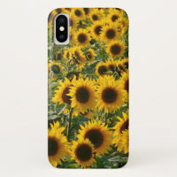 Sunny Sunflowers iPhone Case