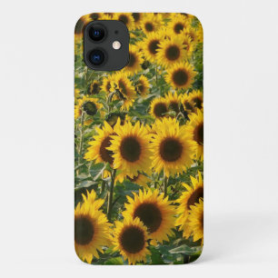 Sunny Sunflowers iPhone Case