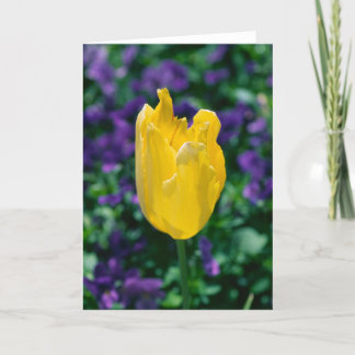 Sunny Tulip Card