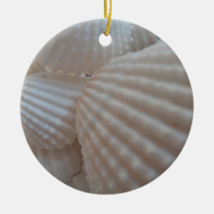 Sunny White Seashells, Sea Shell Beach Summer Love Ceramic Ornament