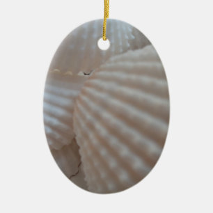 Sunny White Seashells, Sea Shell Beach Summer Love Ceramic Ornament