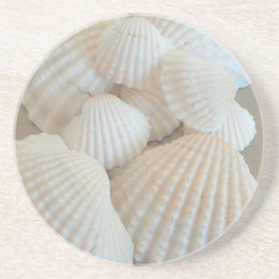Sunny White Seashells, Summer Beach Exotic Coaster