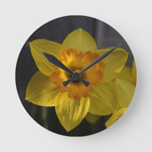 Sunny Yellow Daffodil Round Clock