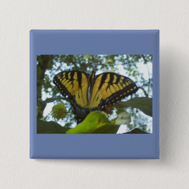 Sunny Yellow Monarch 2 Inch Square Button (Front)