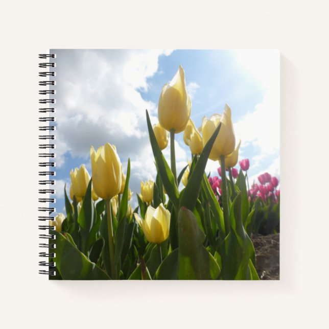 Sunny Yellow & Pink Tulips with Blue Sky Notebook (Front)
