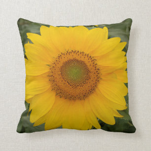 Sunny Yellow Sunflower Throw Pillow
