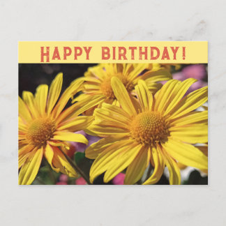 Sunny Yellow/Yellow Chrysanthemum/Happy Birthday/ Holiday Postcard