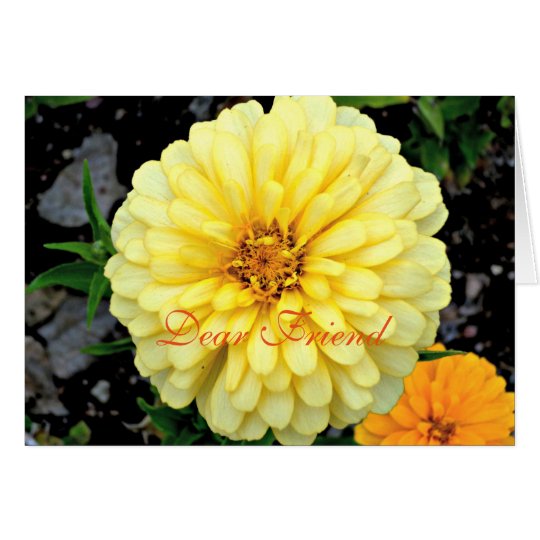 Sunny Yellow Zinnia Flower Dear Friend Card
