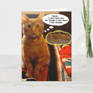 SunnyBoy la carte de pensée et de sommeil du chat