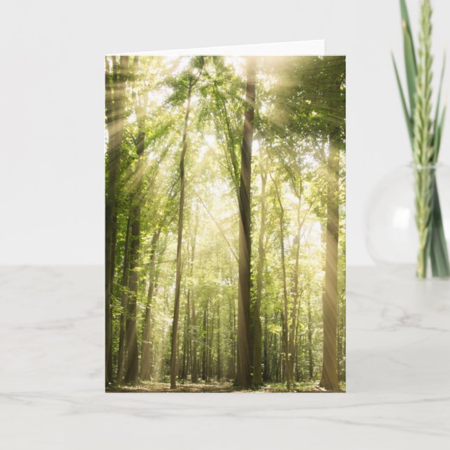 Sunrays Through Treetops Card (Front)