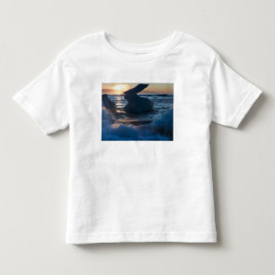 Sunrise and Iceberg formations Toddler T-shirt